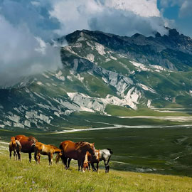 PAESAGGIO